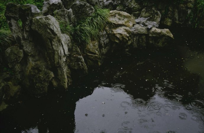 睡起静无事，茶香分外清。雨余飞燕重，风定落花轻。—— 陈寿祺《春晚即景用中表李越缦太常韵》