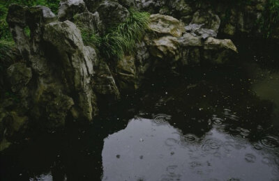 睡起静无事，茶香分外清。雨余飞燕重，风定落花轻?！?陈寿祺《春晚即景用中表李越缦太常韵》