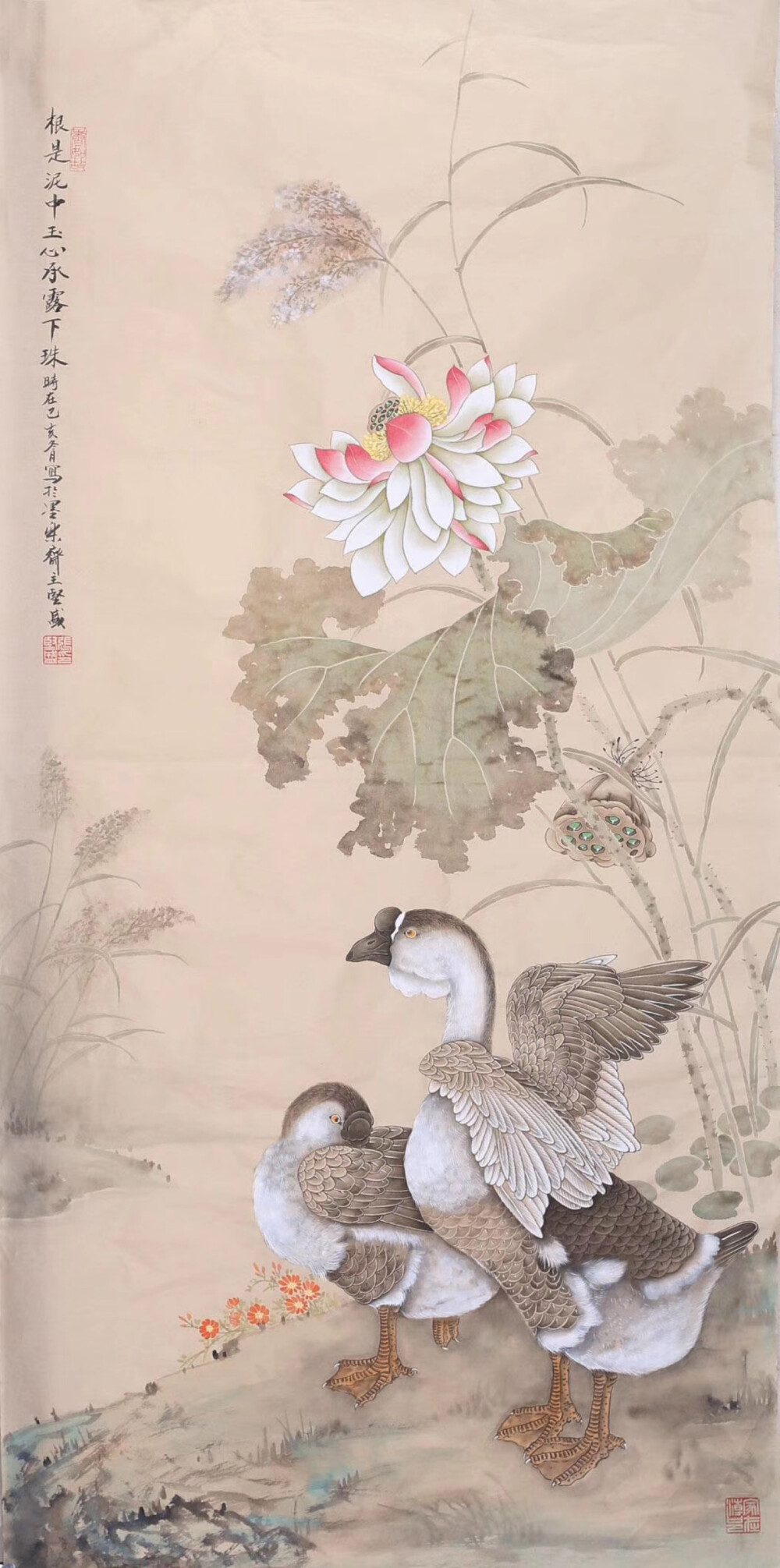 张坚盛聪慧好学，师法古今，遍览古今精品画作，吸取名家画风画技，融会贯通，结合自己的大胆创新，以传统笔墨为框架，绘制当代新概念中国画，开创出一片自己的艺术天地。他的作品，以花鸟、137187翎毛走兽48166为主，尤擅猛禽。作品笔墨、色彩精谨细腻，构图、立意新颖别致。
张坚盛的工笔花鸟画清新怡然，雅趣十足。他的作品着色清淡文雅，赋予清新的笔调，如沐浴春风。#艺惠藏# @艺惠藏13718748166