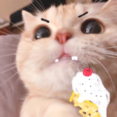 二传注明麓一涵