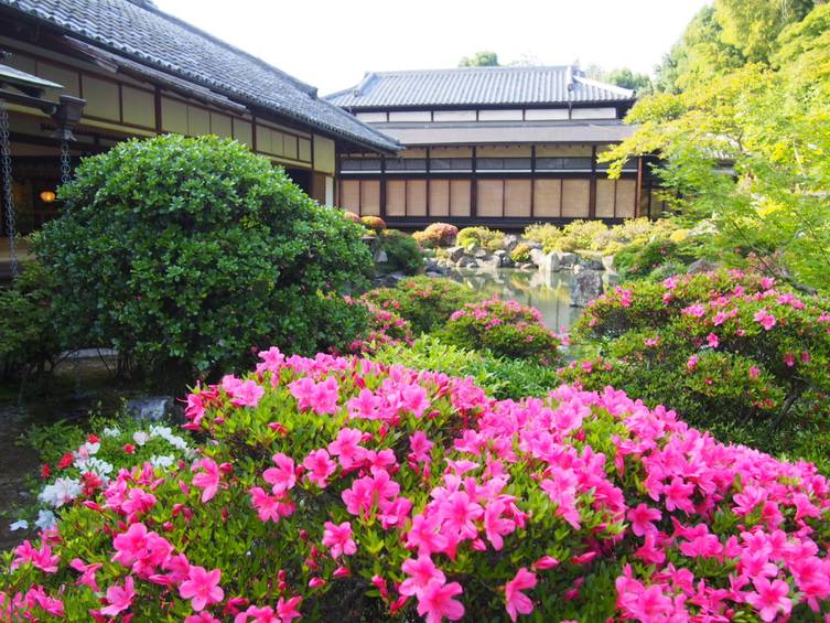 京都岚山温泉 花伝抄