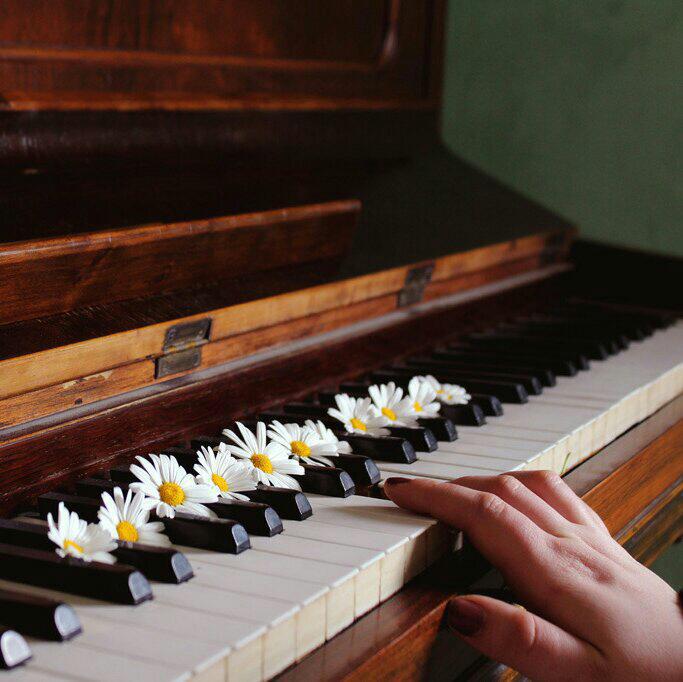 piano & flower.