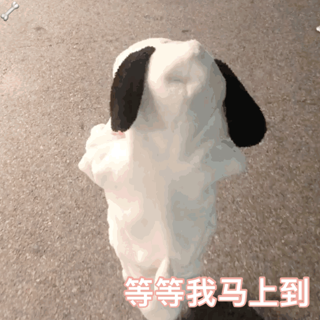 640_640gif 动态图 动图
