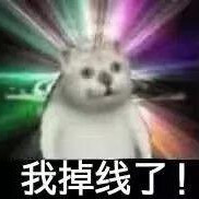 憨憨猫表情包（一） “奇怪的知识增加了！”