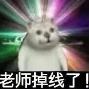 憨憨猫表情包（一） “奇怪的知识增加了！”