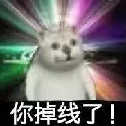 憨憨猫表情包（一） “奇怪的知识增加了！”