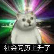 憨憨猫表情包（二）