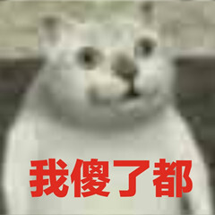 憨憨猫