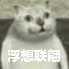 憨憨猫