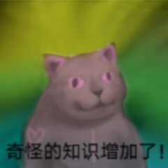 憨憨猫