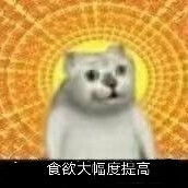 憨憨猫