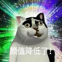 憨憨猫