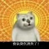 憨憨猫