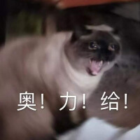 猫咪表情包