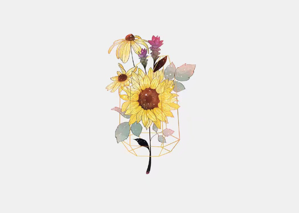 花花