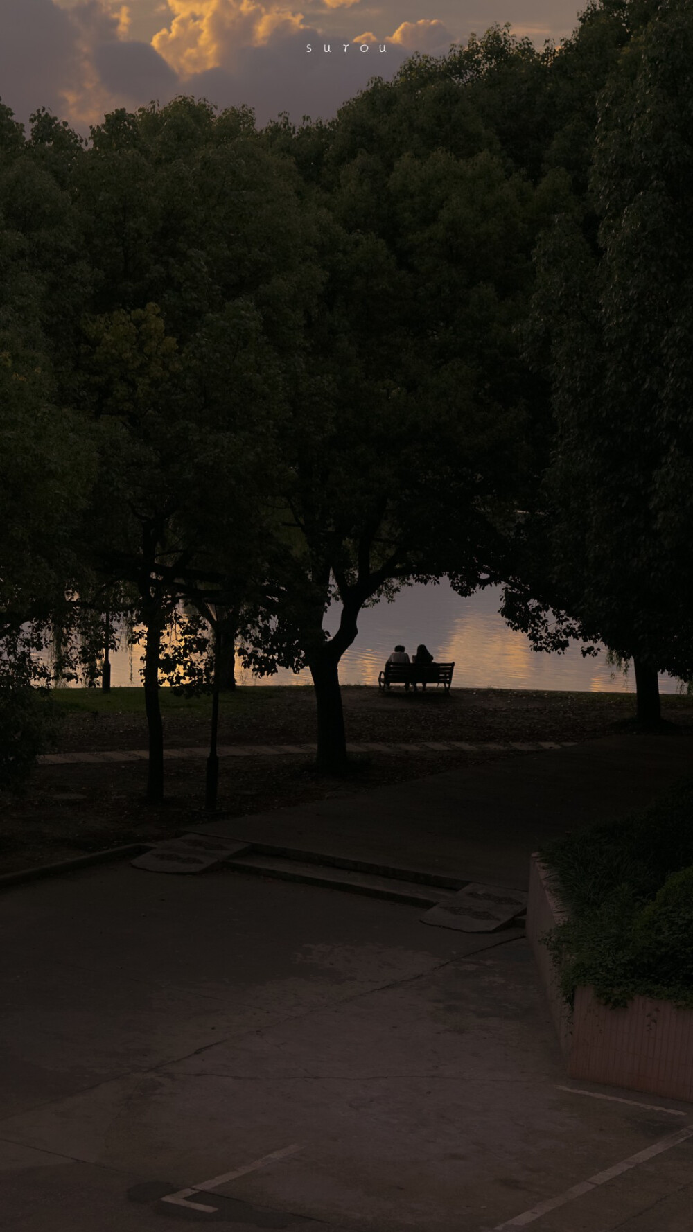 春天什么时候才到啊