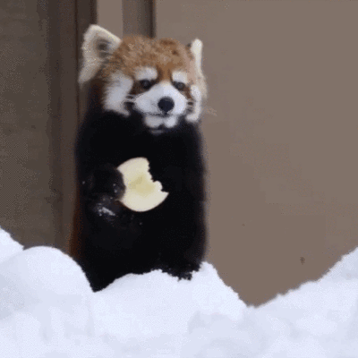 动态GIF：笑一笑，十年少