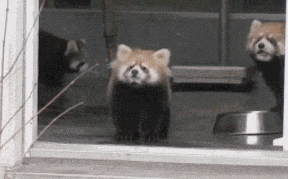 动态GIF：笑一笑，十年少