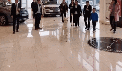 动态GIF：笑一笑，十年少