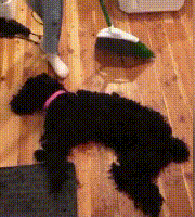 动态GIF：笑一笑，十年少