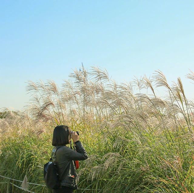 人生就两件事，一件是拿事儿把时间填满，另一件是拿感觉把心填满。——《半山文集》