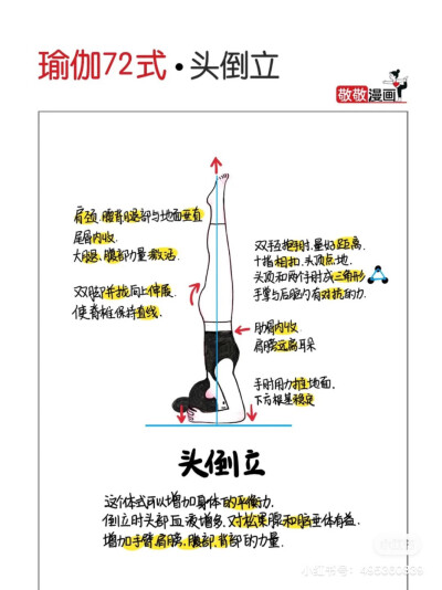 瑜珈
图来自敬敬漫画