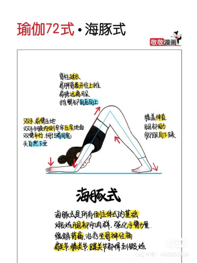 瑜珈
图来自敬敬漫画