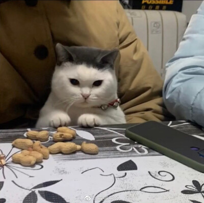 刘海