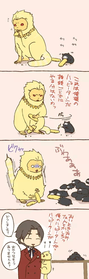 fate