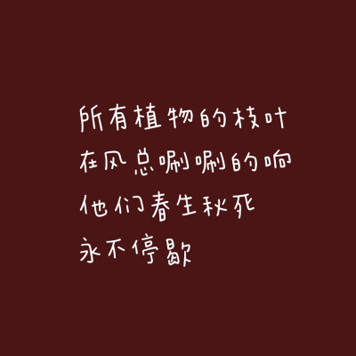 《云边有个小卖部》