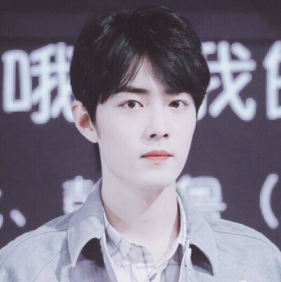 肖战头像by程述。