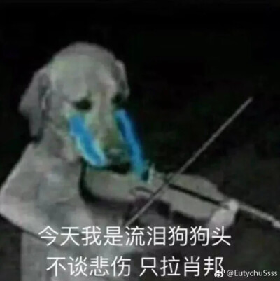 最上手的怼银表情包，喜欢就收藏鸭！关注我的都是小可爱呦～不定期更新专辑，格式美色任君挑选！爱你呦mua！(⑉°з°)-♡【侵删致歉】