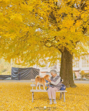 by_ 日本旅行摄影家YASUTO