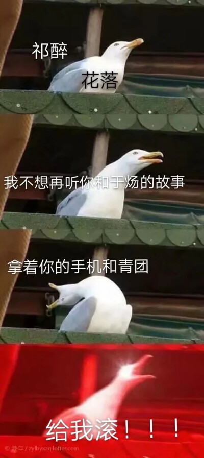 表情包