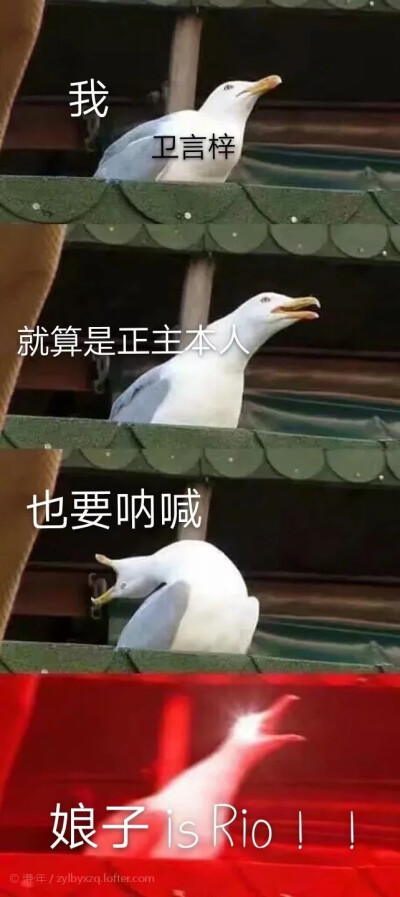 表情包