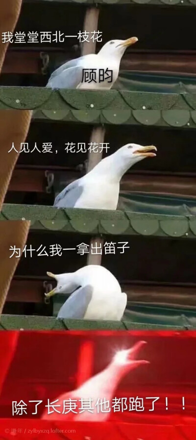 表情包