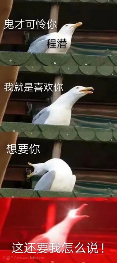 表情包