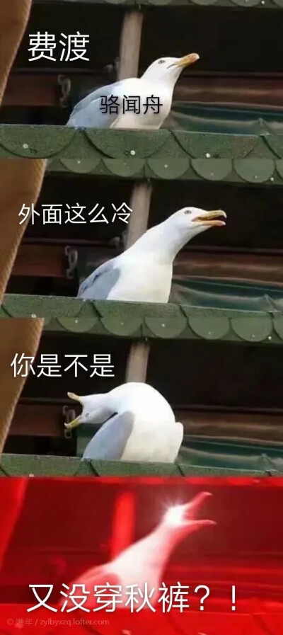 表情包