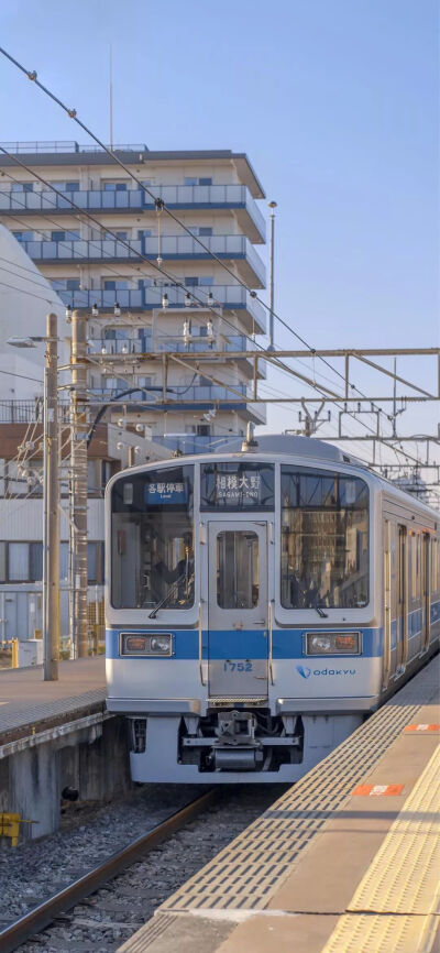 今日份小清新
壁纸♡背景图