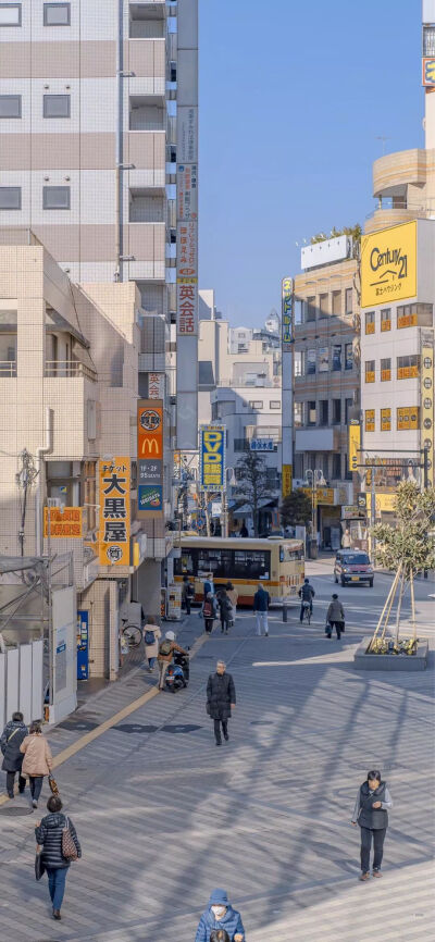 今日份小清新
壁纸♡背景图