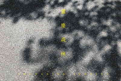 把等待活成生活的一部分
