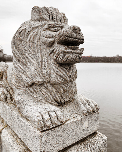 这一年 我认识了一个奇怪的人