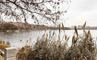 这一年 我认识了一个奇怪的人