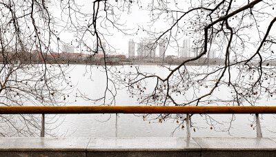 这一年 我认识了一个奇怪的人