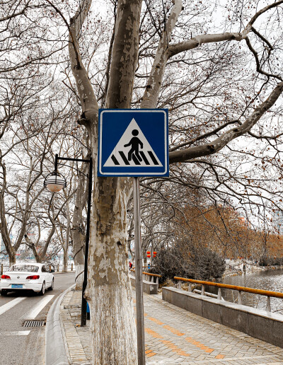 这一年 我认识了一个奇怪的人