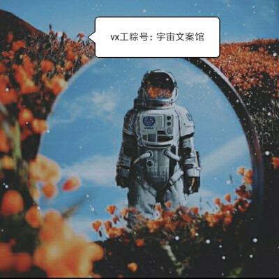 宇航员图片，宇航员情侣头像
拿图➕vx工粽号：宇宙文案馆