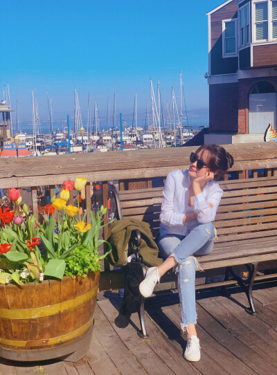 阳光灿烂下的旧金山，码头上满满的郁金香……希望疫情快快散去，能在开春的时候去荷兰看更美的风景