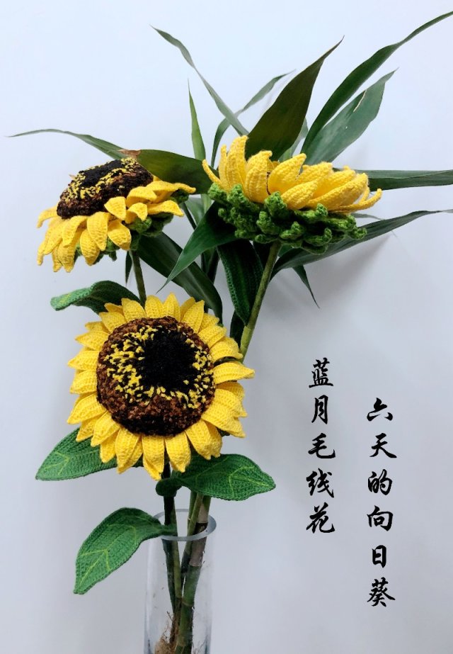 蓝月花