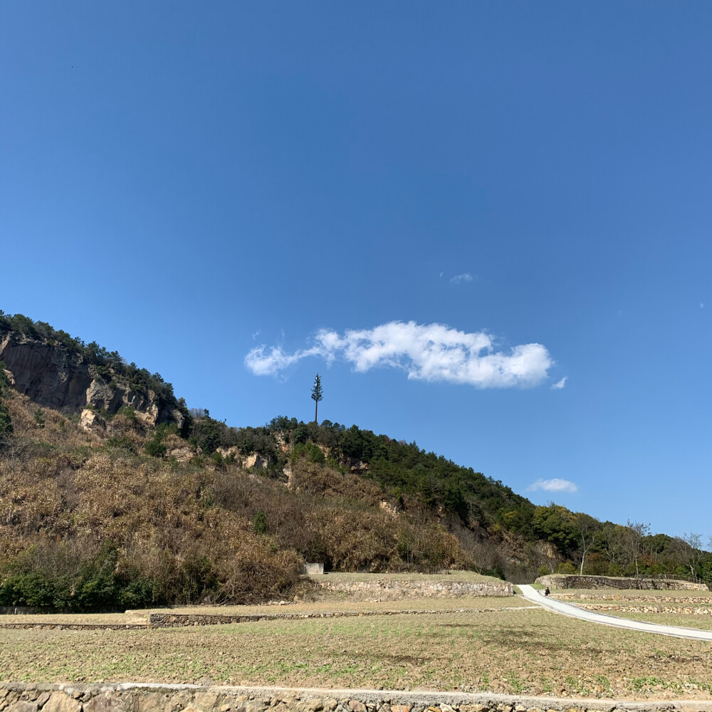 每天眼里的风景