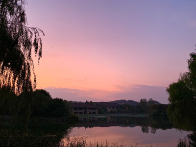 每天落在眼里的风景